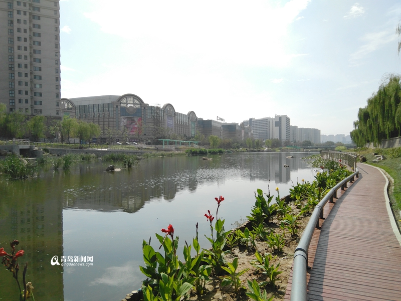 高清:李村河底变了样 大集旧址如今成景观带