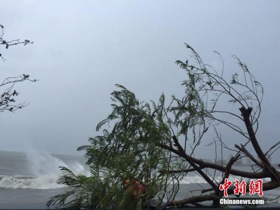 台风“海马”在广东汕尾登陆 中心最大风力有14级