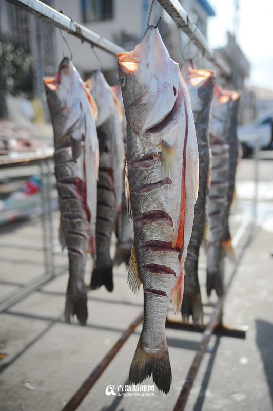 高清:初冬晒鱼卖得火 1米长的干刀鱼你吃过吗