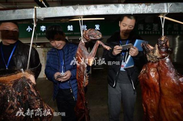 伪爱猫人每天杀猫100只 将猫肉当兔肉卖上餐桌