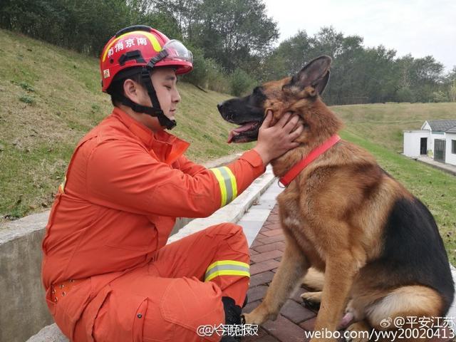 南京消防战士将带搜救犬一起退伍 曾共同在汶川救15人