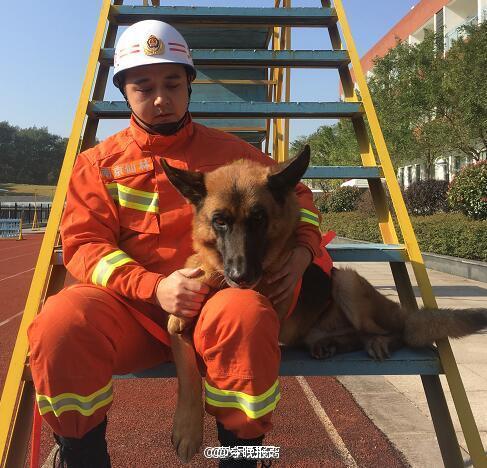 南京消防战士将带搜救犬一起退伍 曾共同在汶川救15人