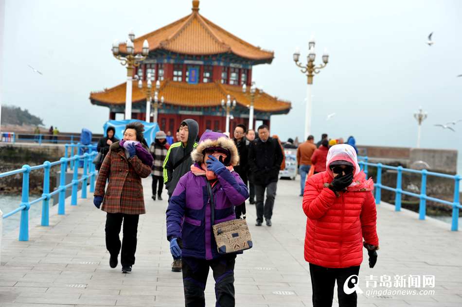 寒潮袭来青岛气温骤降 游客小雪中逛栈桥