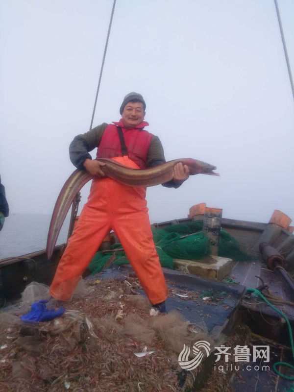 蓬莱渔民闫庆禄抱着刚捕捞上来的1.86米长的狼牙鳝