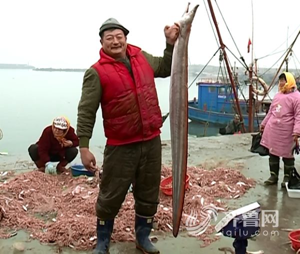 蓬莱渔民闫庆禄高兴地举起1.86米长的狼牙鳝