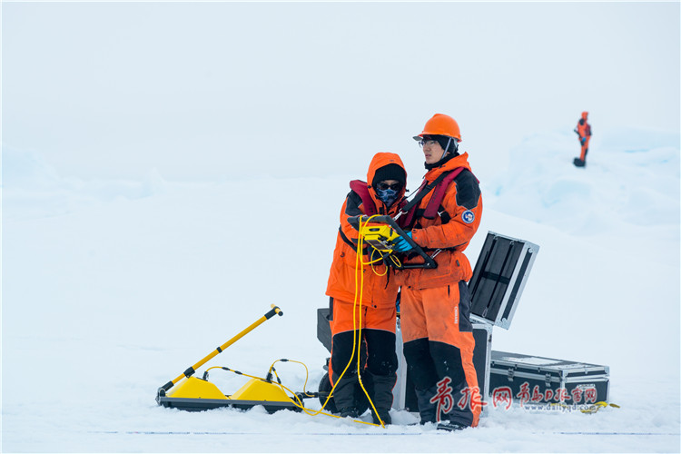海大女教师北极科考之旅：到北冰洋去“遛狗”