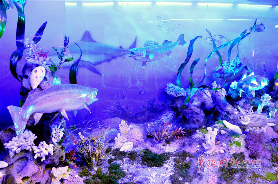 山东最大自然生态博物馆亮相青岛 海洋展区超梦幻