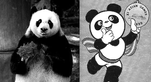 熊猫盼盼离世 近四分之一圈养大熊猫系其后代