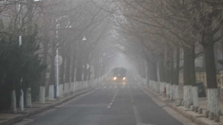 青岛发布大雾橙色预警 局部能见度小于50米