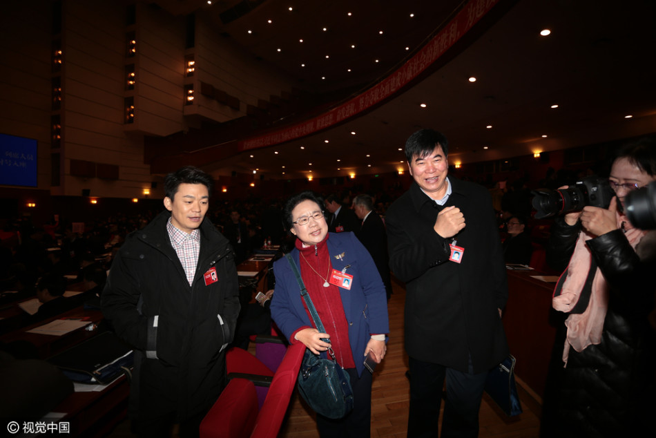 王宝强出席河北省政协会议 变人肉合影背景板