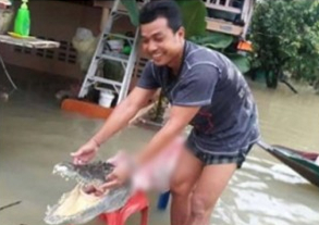 泰国鳄鱼趁洪水逃出动物园 被灾民抓捕分食(图)