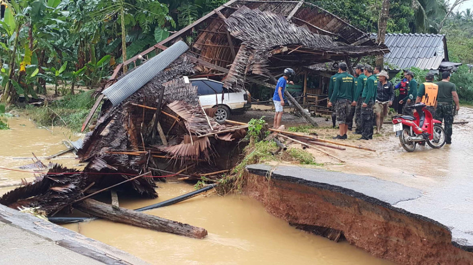 泰国鳄鱼趁洪水逃出动物园 被灾民抓捕分食(图)
