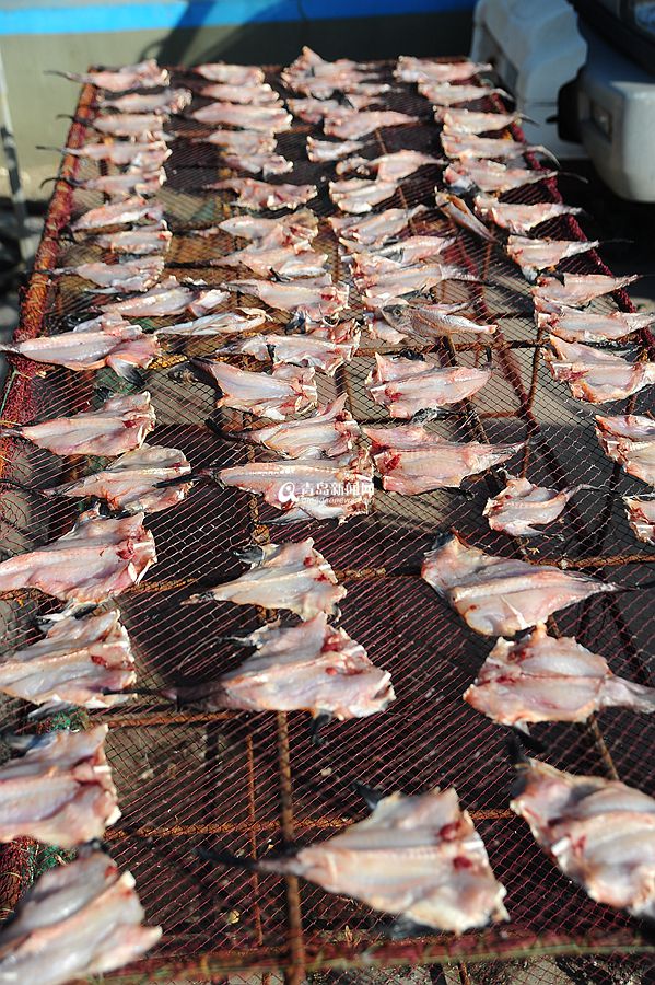 高清：据说青岛的甜晒鱼有一百种 你吃过几种