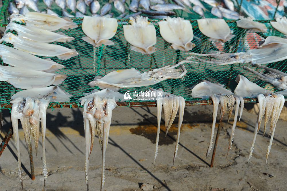 高清：这个渔村因晒鱼而著名 冬日里海货飘香