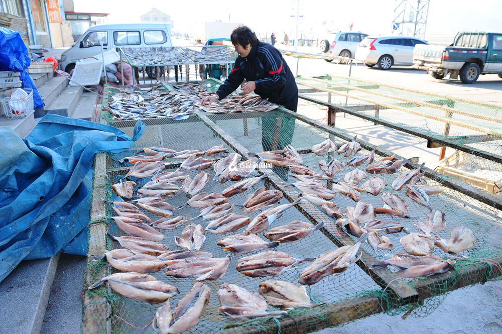 高清：这个渔村因晒鱼而著名 冬日里海货飘香