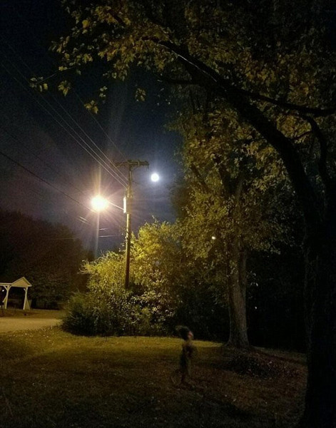 男子月圆之夜拍下草坪上的一幕 灵异照片引热议