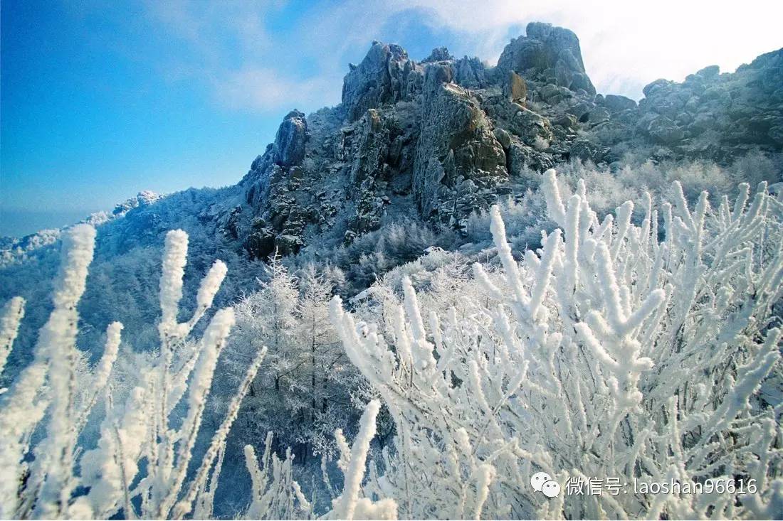 组图：风雪过后！崂山九水、巨峰游览区暂封闭 