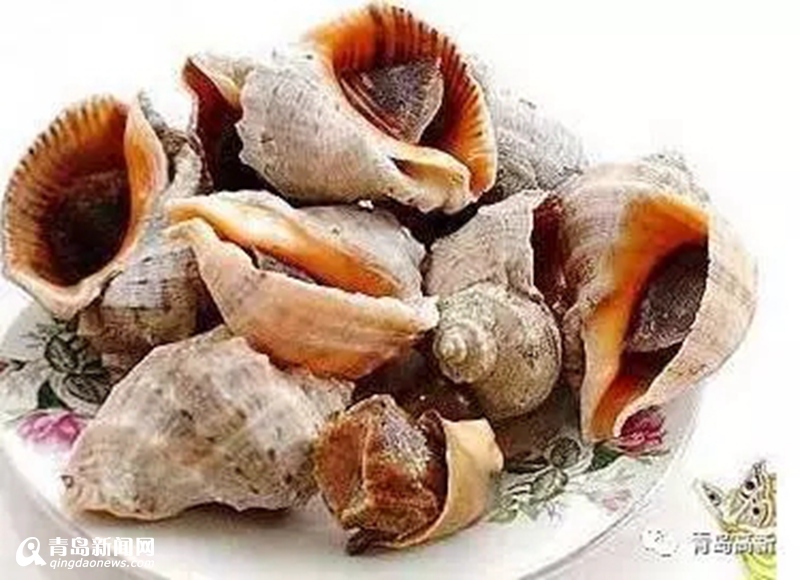 红岛最全海鲜攻略出炉 贝类这样吃最鲜