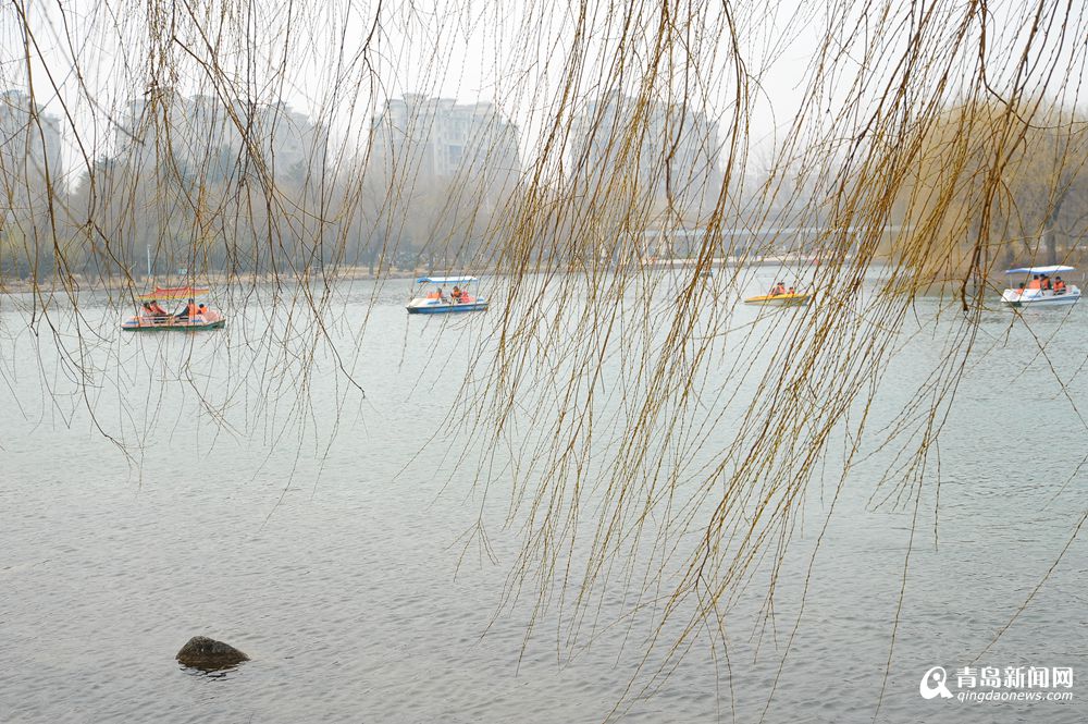 高清：各公园游船重开 晒初春青岛的小桥流水