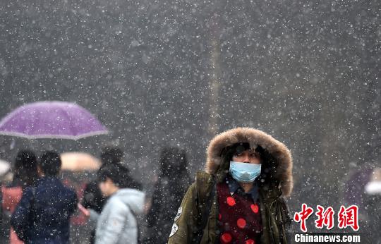 市民在雪中的南京街头经过。泱波 摄
