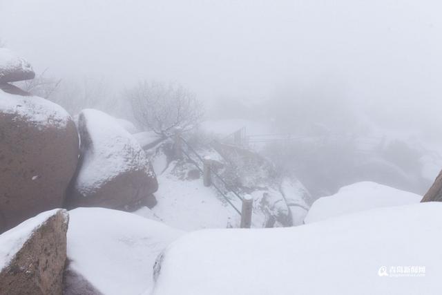 高清:3月崂山鹅毛满天飞 春日巨峰喊你看雪