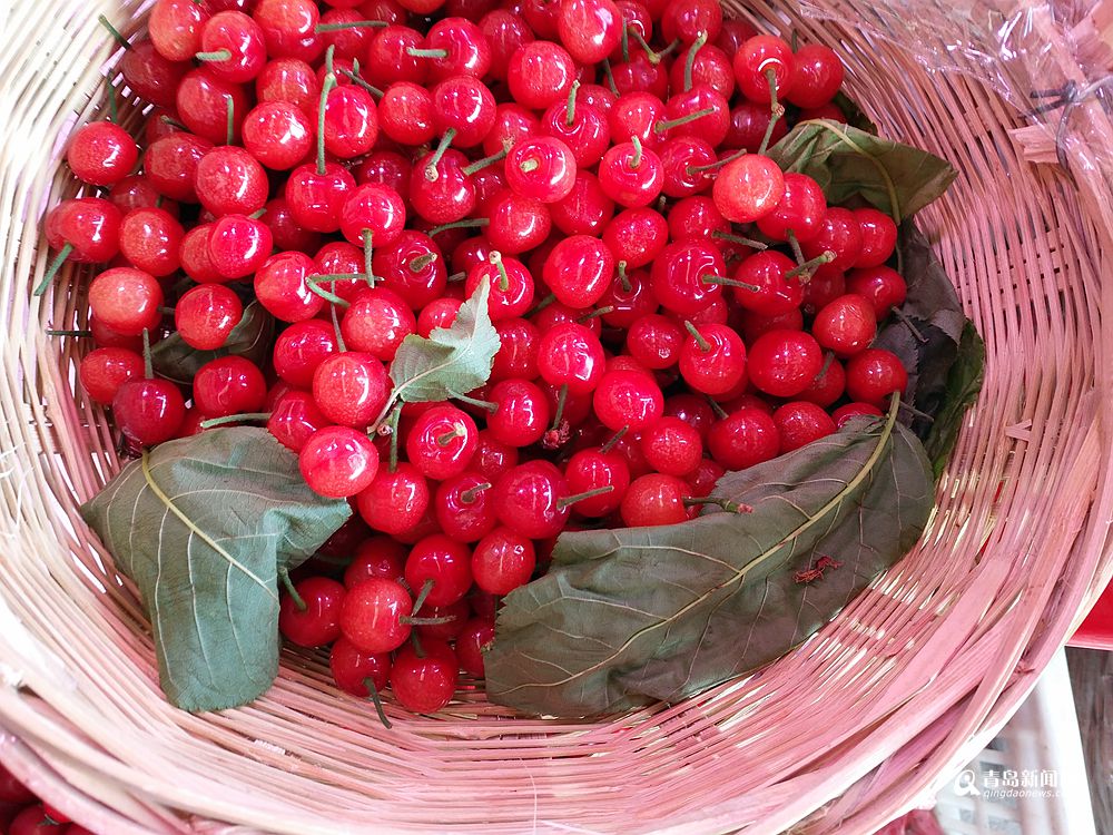 温室樱桃抢鲜上市 每斤50元起价格小贵