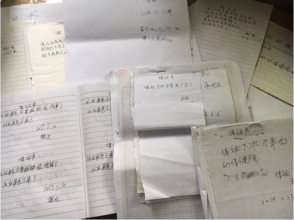 “医托”在南京市妇幼保健院被“抓到”后写过的保证书，不少人是“常客”