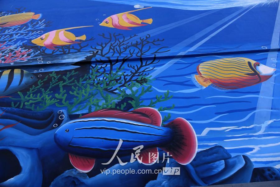 海洋主题墙面彩绘画扮靓青岛渔港