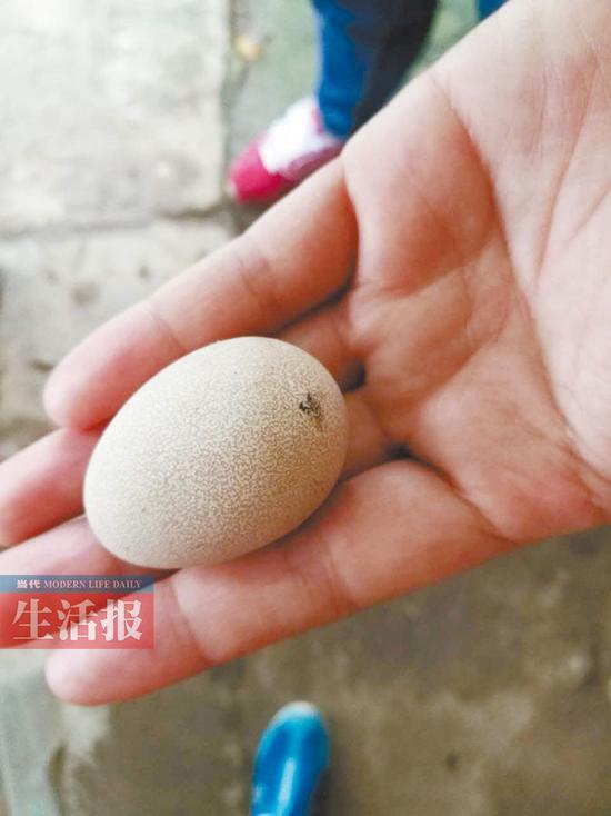 广西一批用于毒老鼠毒鸡蛋被盗 警方全城寻蛋