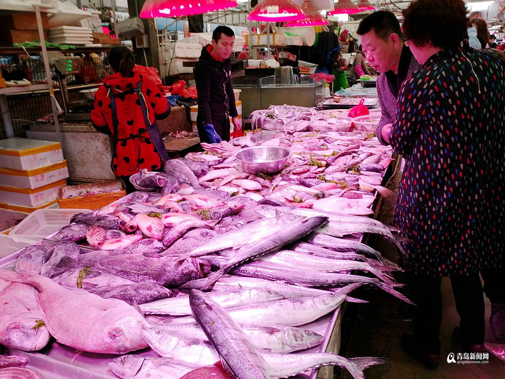 本地春鲅抢鲜上市 10斤以上大鱼每斤35元(图)