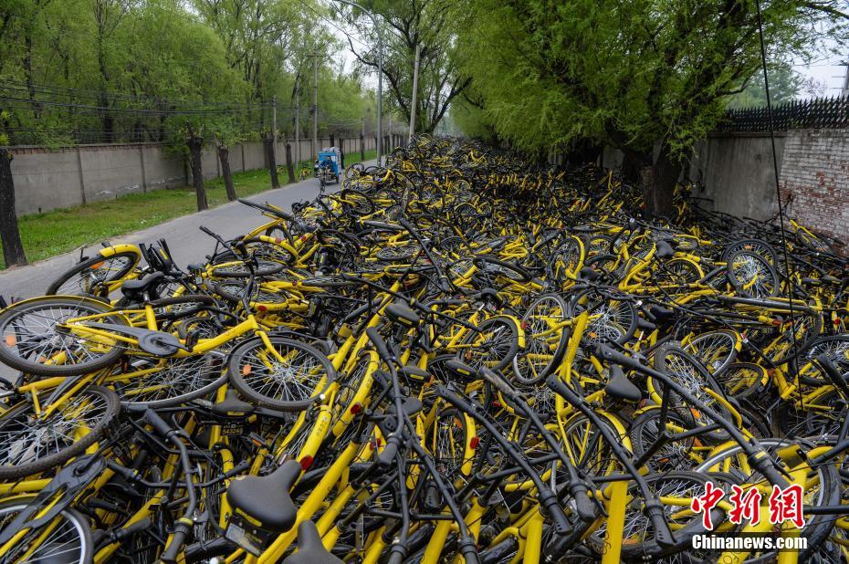 4月7日，北京朝阳区一ofo共享单车维修点“车满为患”，长约上百米的道路一旁堆满了数千辆等待维修的故障共享单车，有些地方的车堆超过2米高。 中新社记者 崔楠 摄