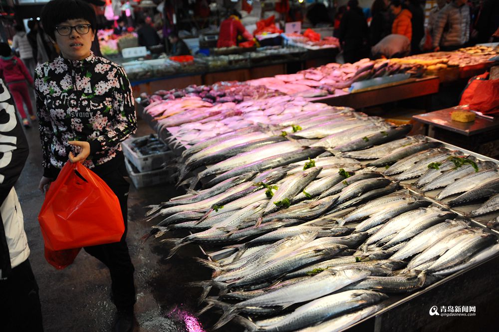 高清：春鲅鱼鲜美上市 市场13斤大鱼售价520元