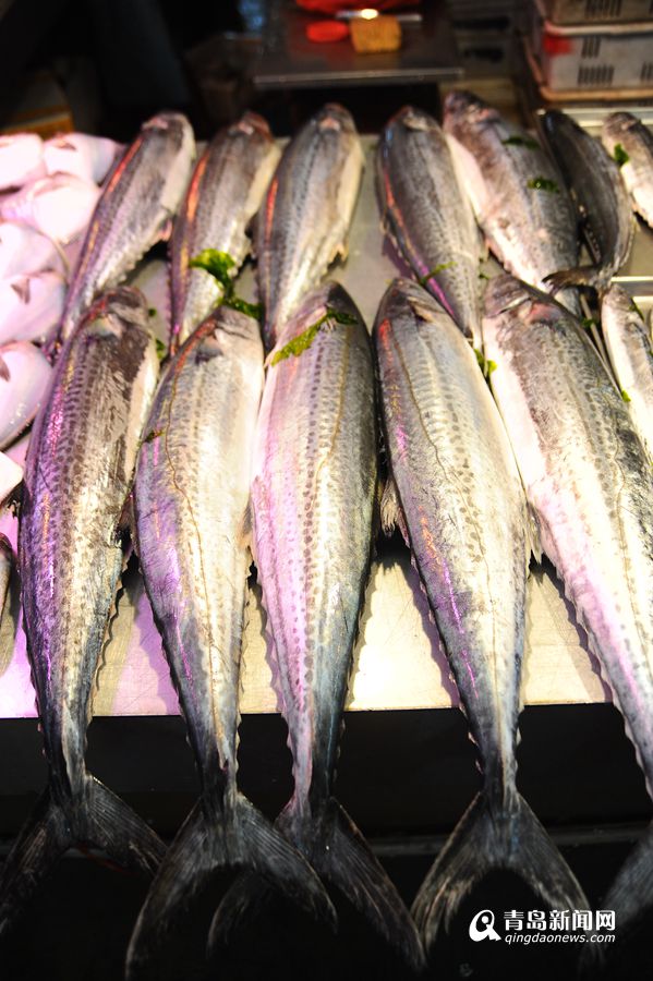 高清：春鲅鱼鲜美上市 市场13斤大鱼售价520元