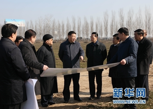 党中央决策河北省雄安新区规划建设工作纪实