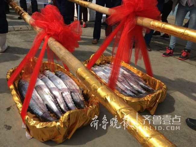 鲜鲅鱼上市引抢购 崂山鲅鱼节开幕价格比往年高