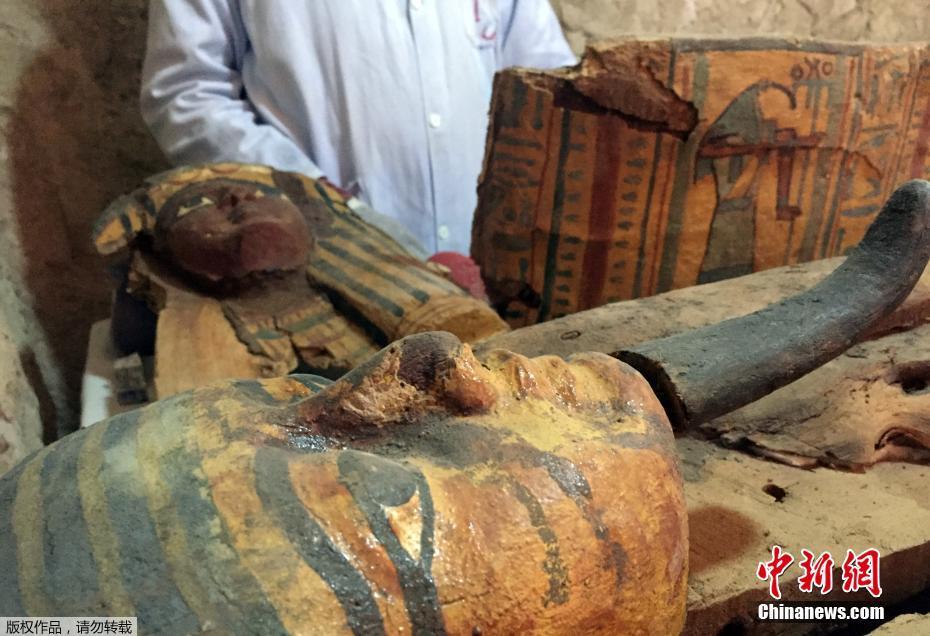 埃及考古重大发现 3500年前木乃伊墓葬出土