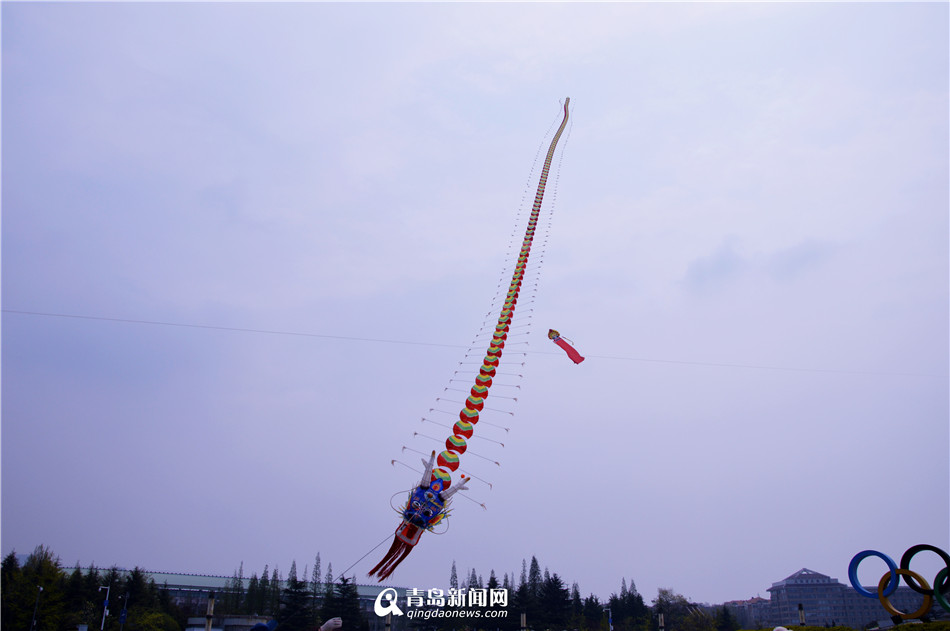 2017青岛赏花会街头艺术秀 七十米风筝飞上天