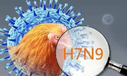 辽宁确诊1例H7N9病例 今年已先后确诊4例(图)