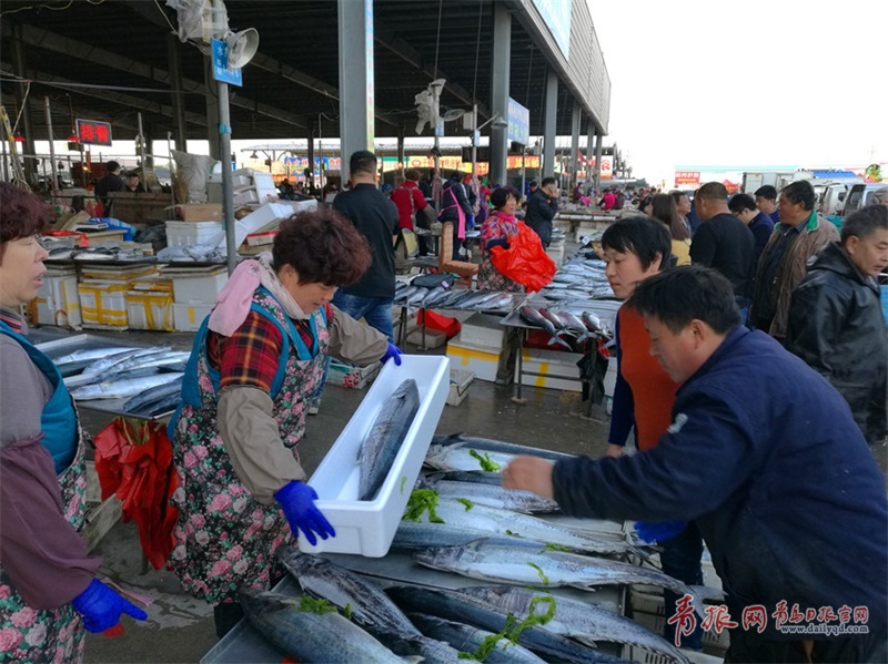 休渔期将至海鲜热销 鲜鲅鱼价格实惠每斤35元
