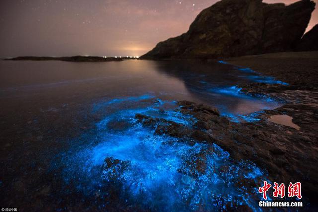 大连现荧光海奇观 海浪与星空交相辉映