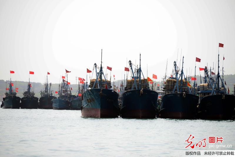 黄渤海史上最早最长伏季休渔期开始