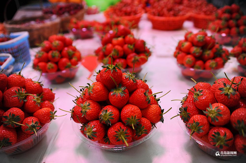 高清：本地蓝莓抢鲜上市 每斤70元价格小贵