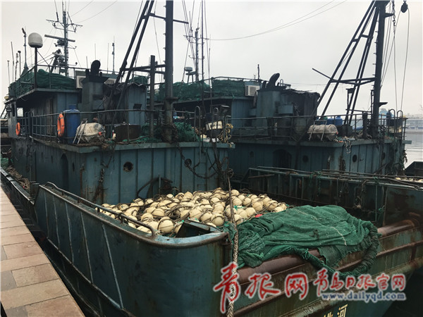 顶风作案被抓 青岛查获两艘非法捕捞渔船