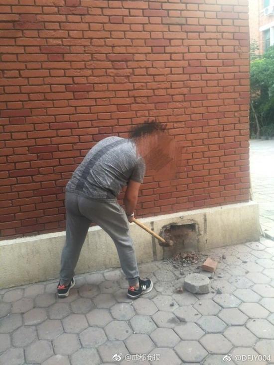 天津一所大学管理流浪狗 被曝将狗封死在墙里