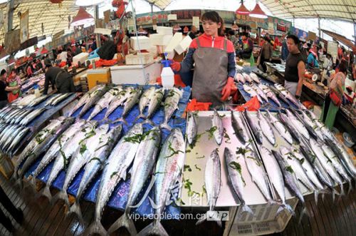 青岛市镇江路市场海鲜摊位摆满休渔期前捕获的新鲜的春鲅鱼