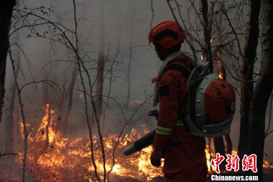 内蒙古大兴安岭一日发生三起森林火灾 已全部合围
