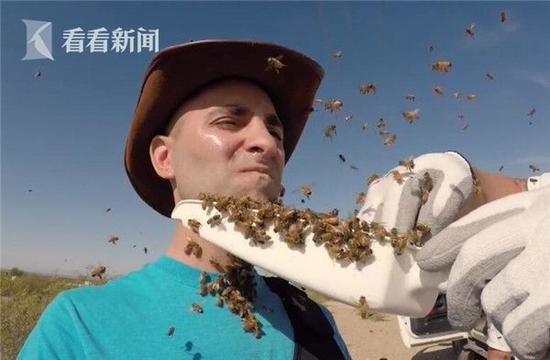 男子作死挑战3000只蜜蜂蜇咬 惨被叮成香肠嘴
