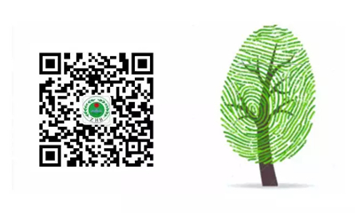 青岛环保APP正式发布 环境数据手机就能查