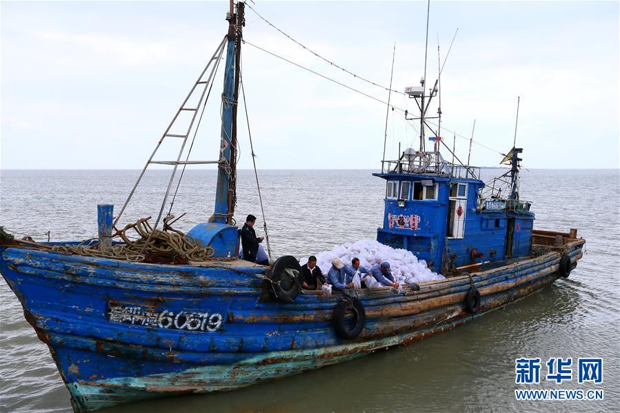 渔民田横岛海域放流 梭子蟹苗堆满甲板