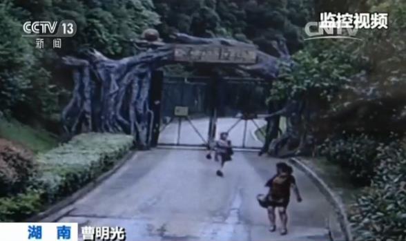 三游客逃票翻墙进动物园险入“虎口” 称围网有破口